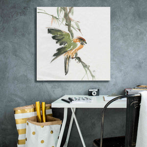 'Formosan Firecrest' by Chris Paschke, Canvas Wall Art,26 x 26