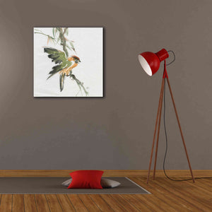 'Formosan Firecrest' by Chris Paschke, Canvas Wall Art,26 x 26