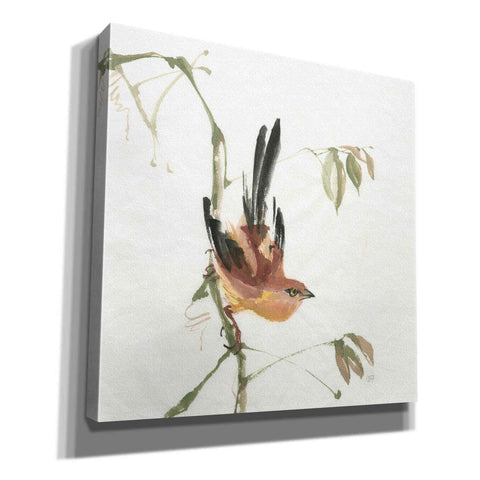 Image of 'Mountain Bush Warbler' by Chris Paschke, Canvas Wall Art