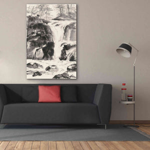 'Sumi Waterfall IV' by Chris Paschke, Canvas Wall Art,40 x 60
