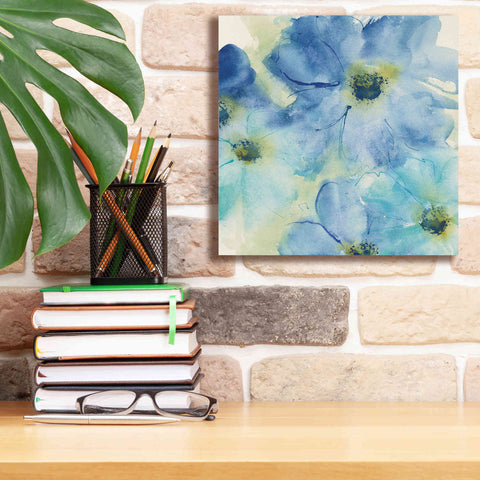 Image of 'Seashell Cosmos I' by Chris Paschke, Canvas Wall Art,12 x 12