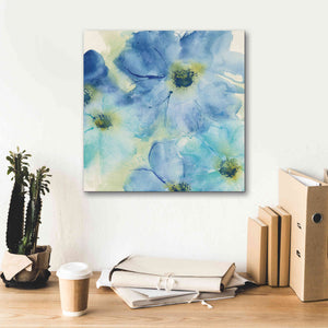'Seashell Cosmos I' by Chris Paschke, Canvas Wall Art,18 x 18