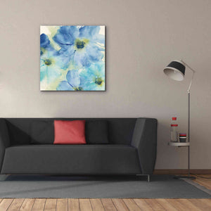 'Seashell Cosmos I' by Chris Paschke, Canvas Wall Art,37 x 37
