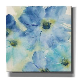 'Seashell Cosmos I' by Chris Paschke, Canvas Wall Art