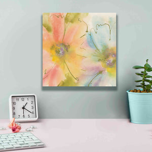 'Rainbow Cosmos I' by Chris Paschke, Canvas Wall Art,12 x 12