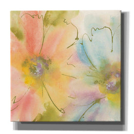 'Rainbow Cosmos I' by Chris Paschke, Canvas Wall Art