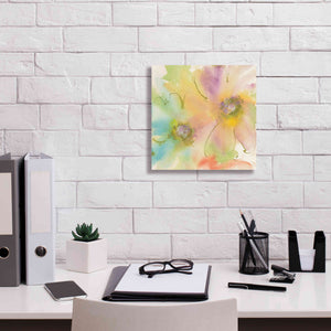 'Rainbow Cosmos II' by Chris Paschke, Canvas Wall Art,12 x 12