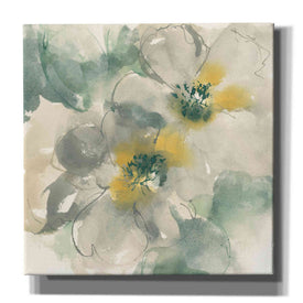 'Silver Quince I' by Chris Paschke, Canvas Wall Art