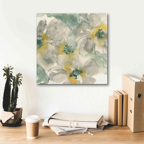 Image of 'Silver Quince II' by Chris Paschke, Canvas Wall Art,18 x 18