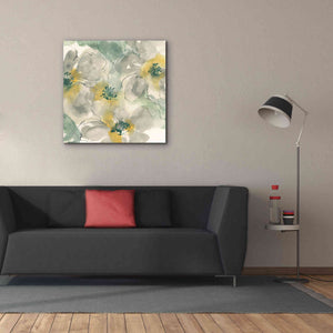 'Silver Quince II' by Chris Paschke, Canvas Wall Art,37 x 37