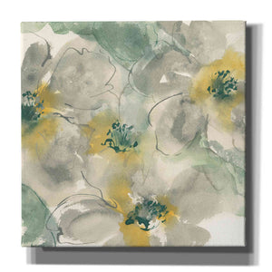 'Silver Quince II' by Chris Paschke, Canvas Wall Art