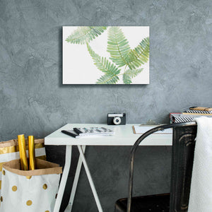 'Ferns II' by Chris Paschke, Canvas Wall Art,18 x 12