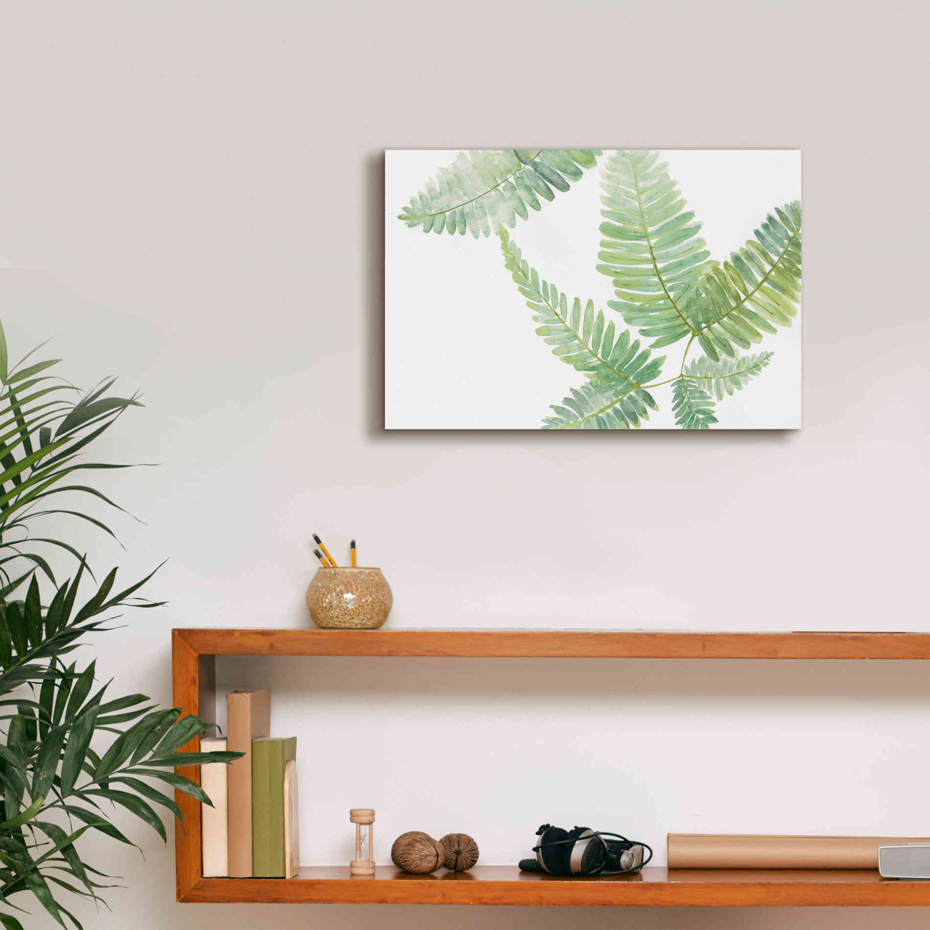'Ferns II' by Chris Paschke, Canvas Wall Art,18 x 12
