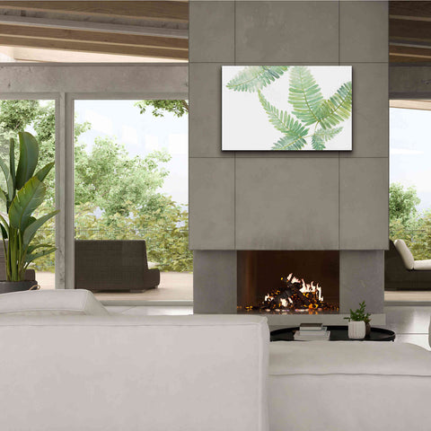 Image of 'Ferns II' by Chris Paschke, Canvas Wall Art,40 x 26