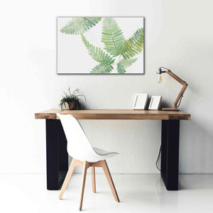 'Ferns II' by Chris Paschke, Canvas Wall Art,40 x 26