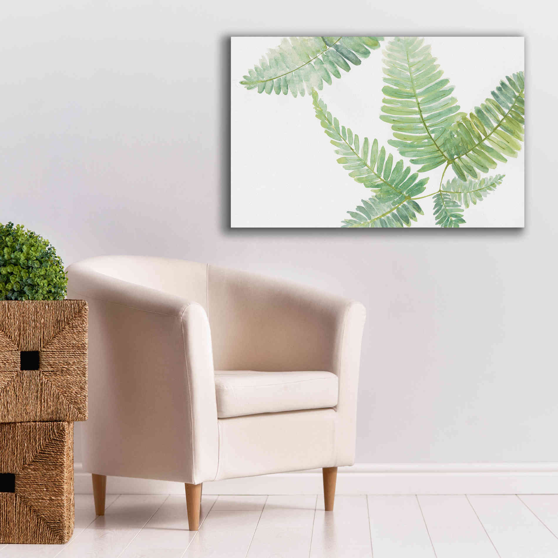'Ferns II' by Chris Paschke, Canvas Wall Art,40 x 26