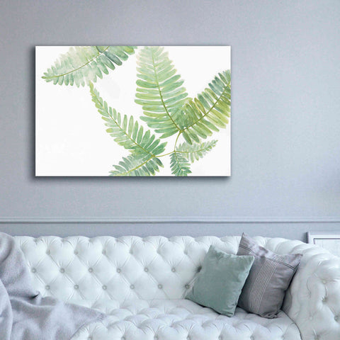 Image of 'Ferns II' by Chris Paschke, Canvas Wall Art,60 x 40