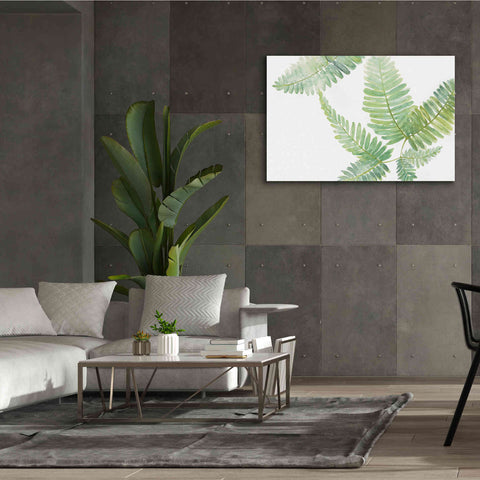 Image of 'Ferns II' by Chris Paschke, Canvas Wall Art,60 x 40