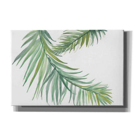 'Ferns IV' by Chris Paschke, Canvas Wall Art