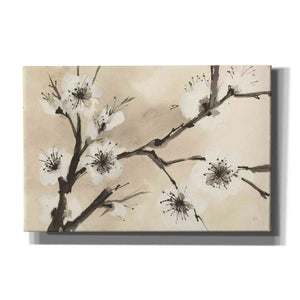 'Spring Blossoms II' by Chris Paschke, Canvas Wall Art