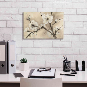 'Spring Blossoms III' by Chris Paschke, Canvas Wall Art,18 x 12