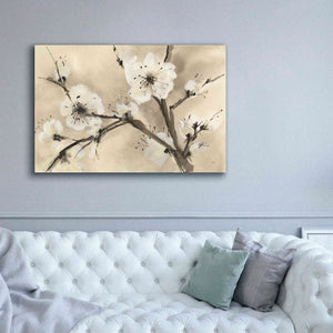 'Spring Blossoms III' by Chris Paschke, Canvas Wall Art,60 x 40
