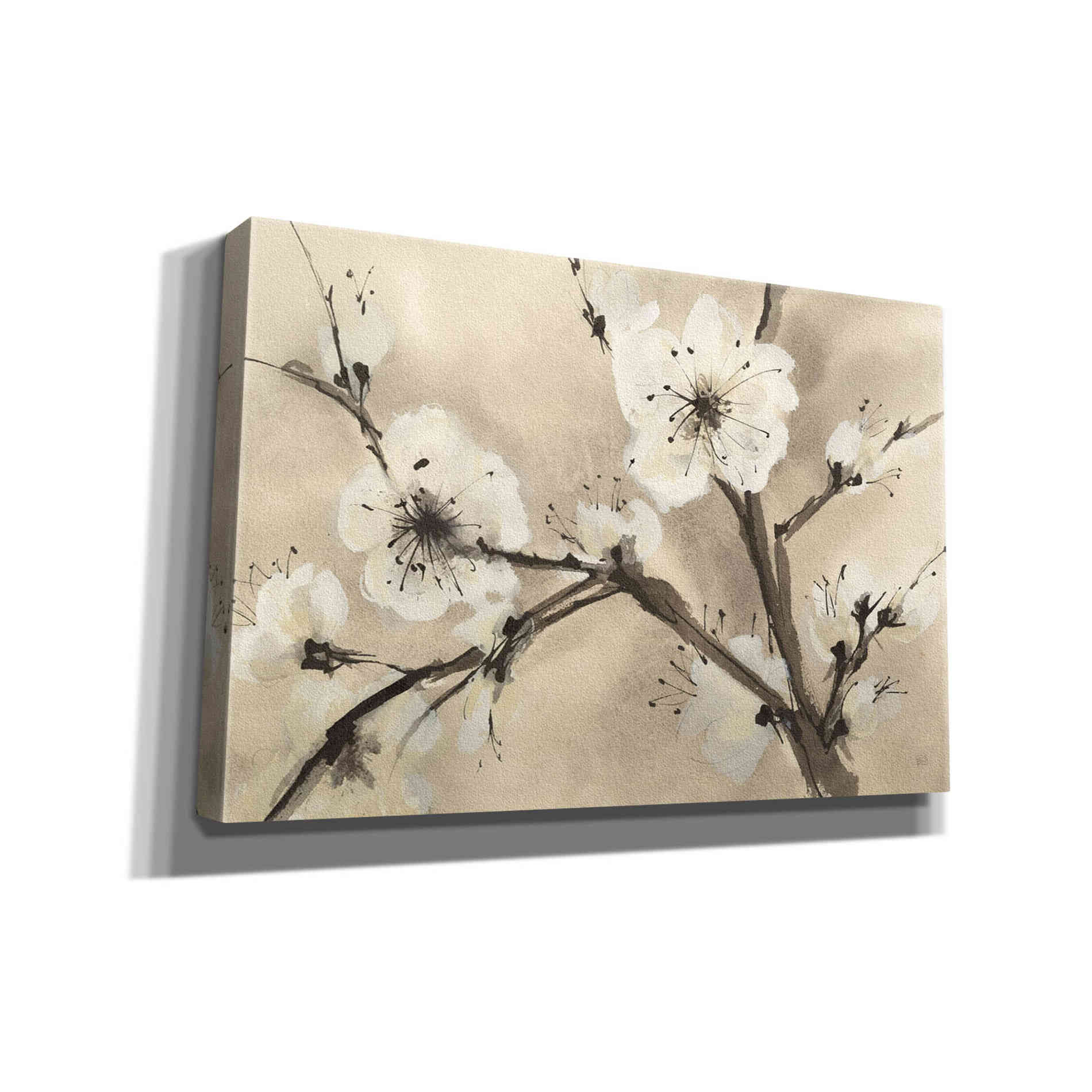 'Spring Blossoms III' by Chris Paschke, Canvas Wall Art