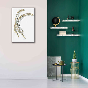 'Gilded Hackles Feather' by Chris Paschke, Canvas Wall Art,26 x 40