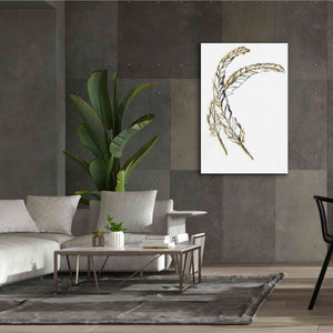 'Gilded Hackles Feather' by Chris Paschke, Canvas Wall Art,40 x 60