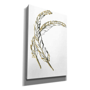 'Gilded Hackles Feather' by Chris Paschke, Canvas Wall Art