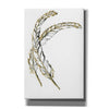 'Gilded Hackles Feather' by Chris Paschke, Canvas Wall Art