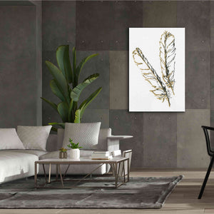 'Gilded Red Tailed Hawk Feather' by Chris Paschke, Canvas Wall Art,40 x 60