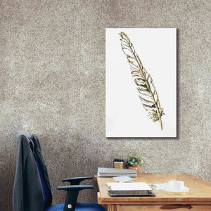 'Gilded Swan Feather I' by Chris Paschke, Canvas Wall Art,26 x 40