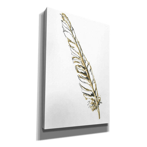 Image of 'Gilded Swan Feather I' by Chris Paschke, Canvas Wall Art