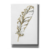 'Gilded Turkey Feather I' by Chris Paschke, Canvas Wall Art