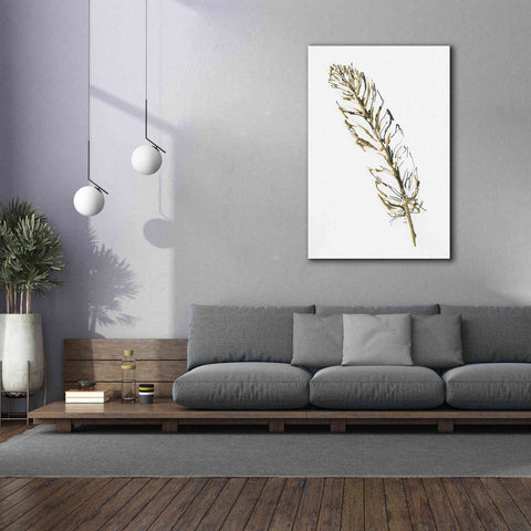 Image of 'Gilded Turkey Feather II' by Chris Paschke, Canvas Wall Art,40 x 60