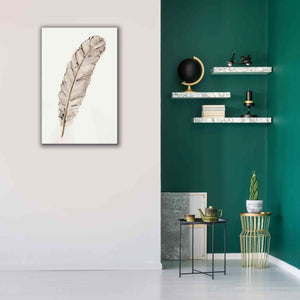'Gold Feathers IX' by Chris Paschke, Canvas Wall Art,26 x 40