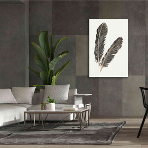 'Gold Feathers IV' by Chris Paschke, Canvas Wall Art,40 x 60