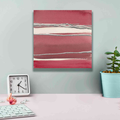 Image of 'Silver Rose II' by Chris Paschke, Canvas Wall Art,12 x 12