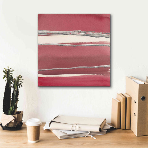 Image of 'Silver Rose II' by Chris Paschke, Canvas Wall Art,18 x 18