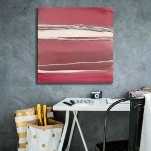 'Silver Rose II' by Chris Paschke, Canvas Wall Art,26 x 26
