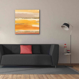 'Gilded Amber II' by Chris Paschke, Canvas Wall Art,37 x 37