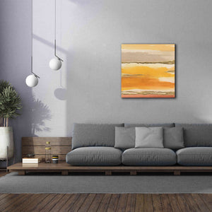 'Gilded Amber II' by Chris Paschke, Canvas Wall Art,37 x 37