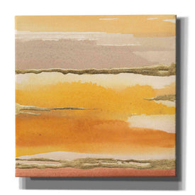'Gilded Amber II' by Chris Paschke, Canvas Wall Art