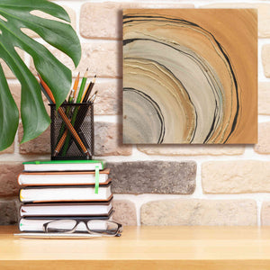 'Gilded Rings' by Chris Paschke, Canvas Wall Art,12 x 12