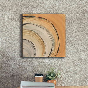 'Gilded Rings' by Chris Paschke, Canvas Wall Art,18 x 18