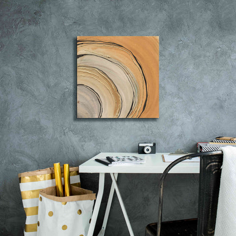 Image of 'Gilded Rings' by Chris Paschke, Canvas Wall Art,18 x 18