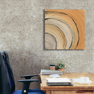 'Gilded Rings' by Chris Paschke, Canvas Wall Art,26 x 26