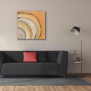 'Gilded Rings' by Chris Paschke, Canvas Wall Art,37 x 37