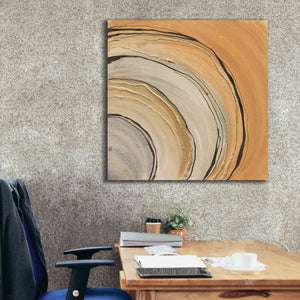 'Gilded Rings' by Chris Paschke, Canvas Wall Art,37 x 37